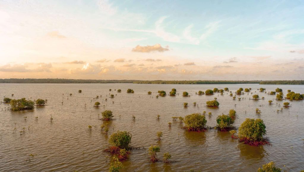 need flood damage inspections post hurricane ian damage inspections orlando